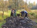 Aleja Dębowa