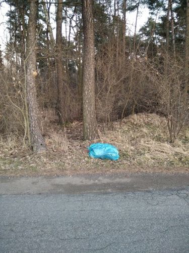 Wiosenne porządki... zimą