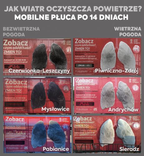 Mobilne płuca Polskiego Alarmu Smogowego pokazały, czym oddychamy